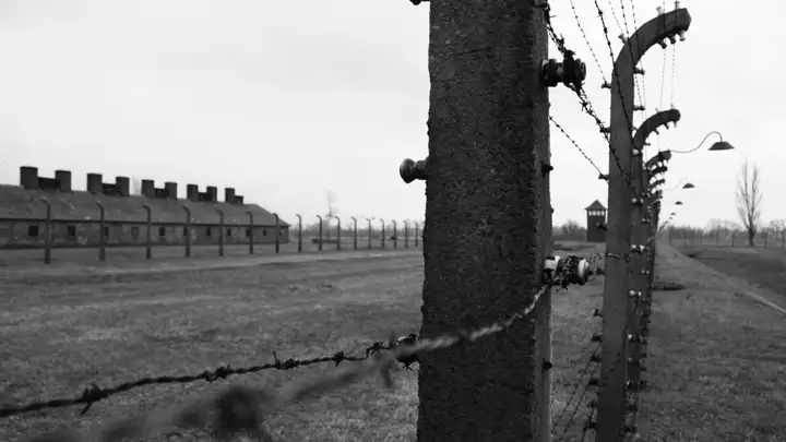 Holocaust Story
