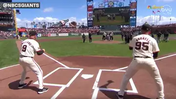 Cougar Whiparound 
