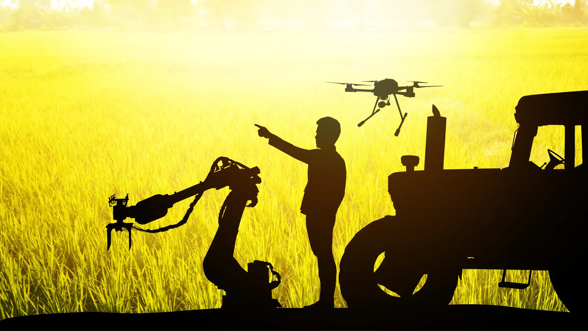 Divine Intelligence Guiding Our Use of Artificial Intelligence