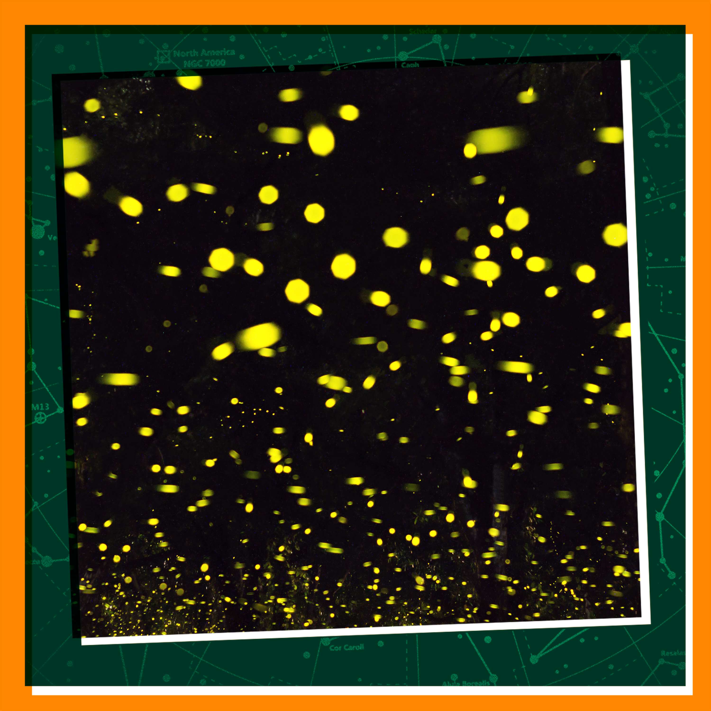Discovering Fireflies