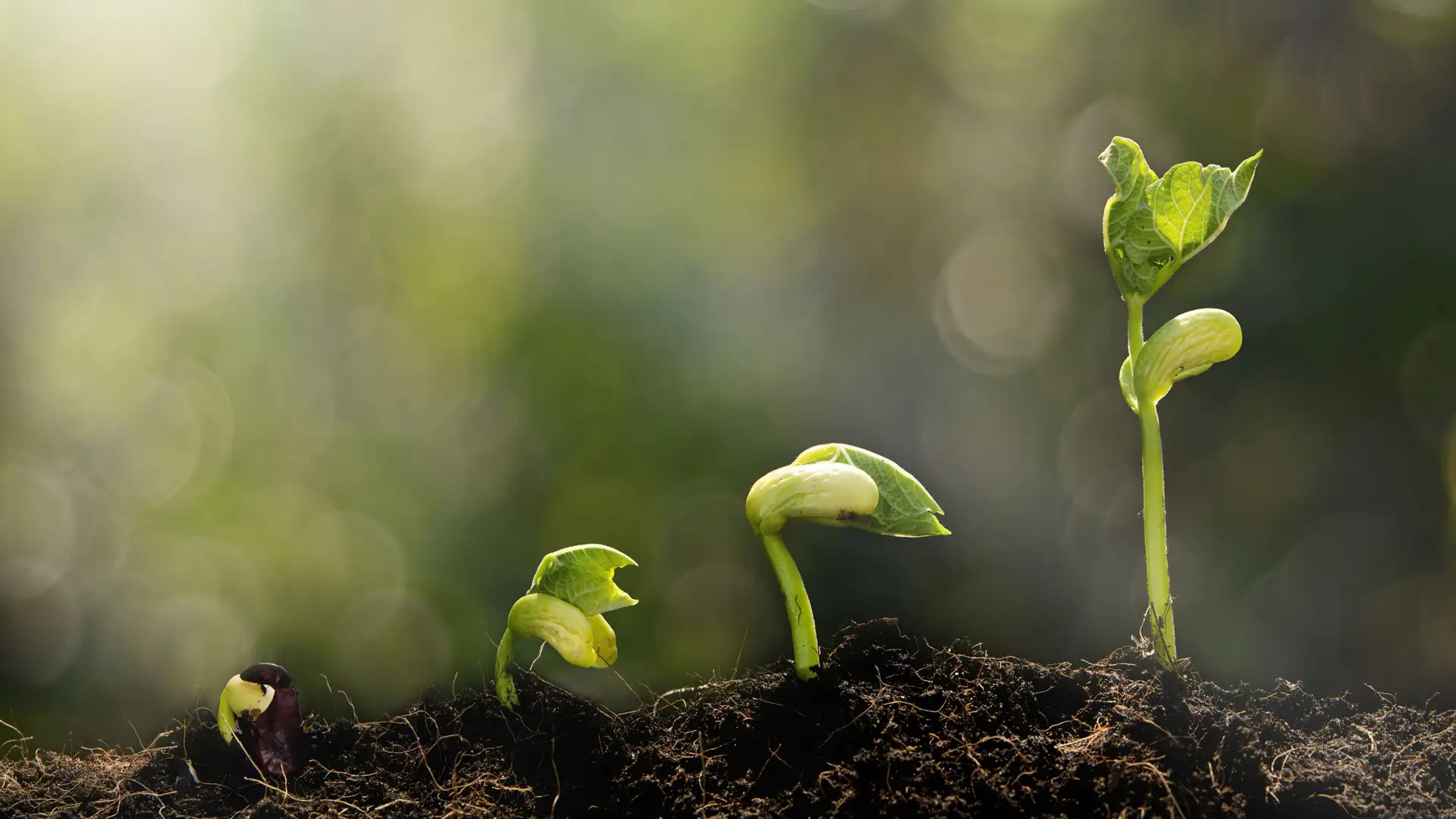 Becoming Our Best Selves