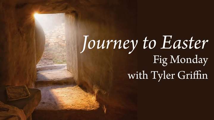 Fig Monday | Tyler Griffin