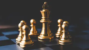 Ivory Chess Piece Worth a Fortune