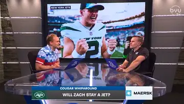 Cougar Whiparound 