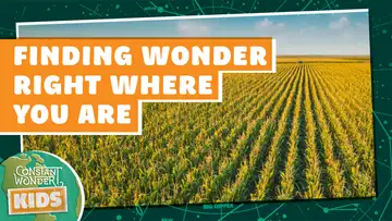 Finding Wonder Right Where You Are