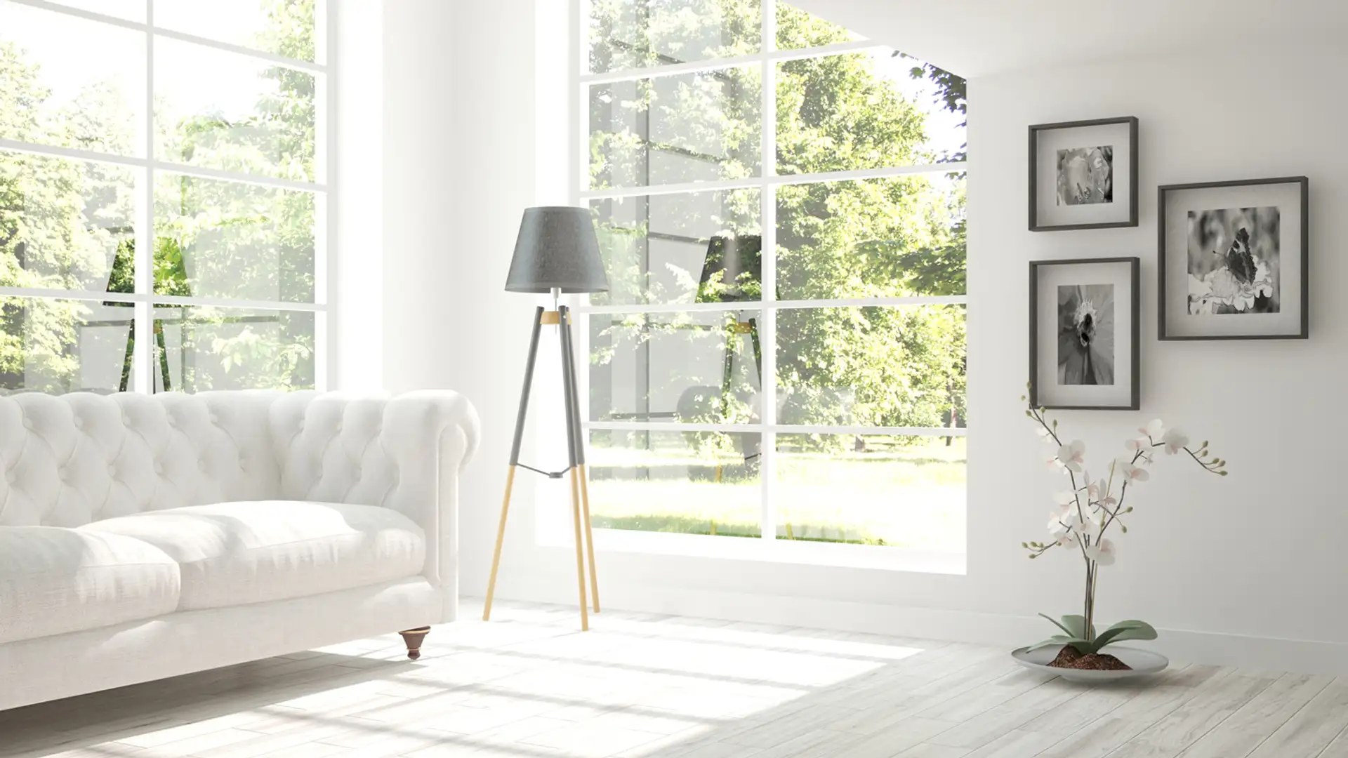 Sunshine Updates for Winter