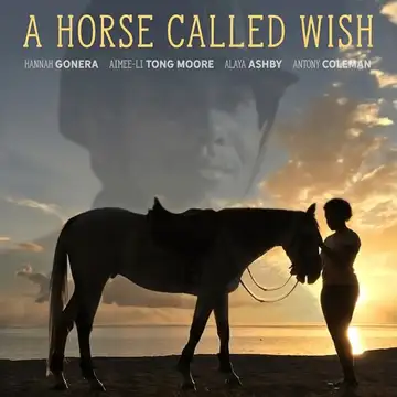 A Horse Called Wish