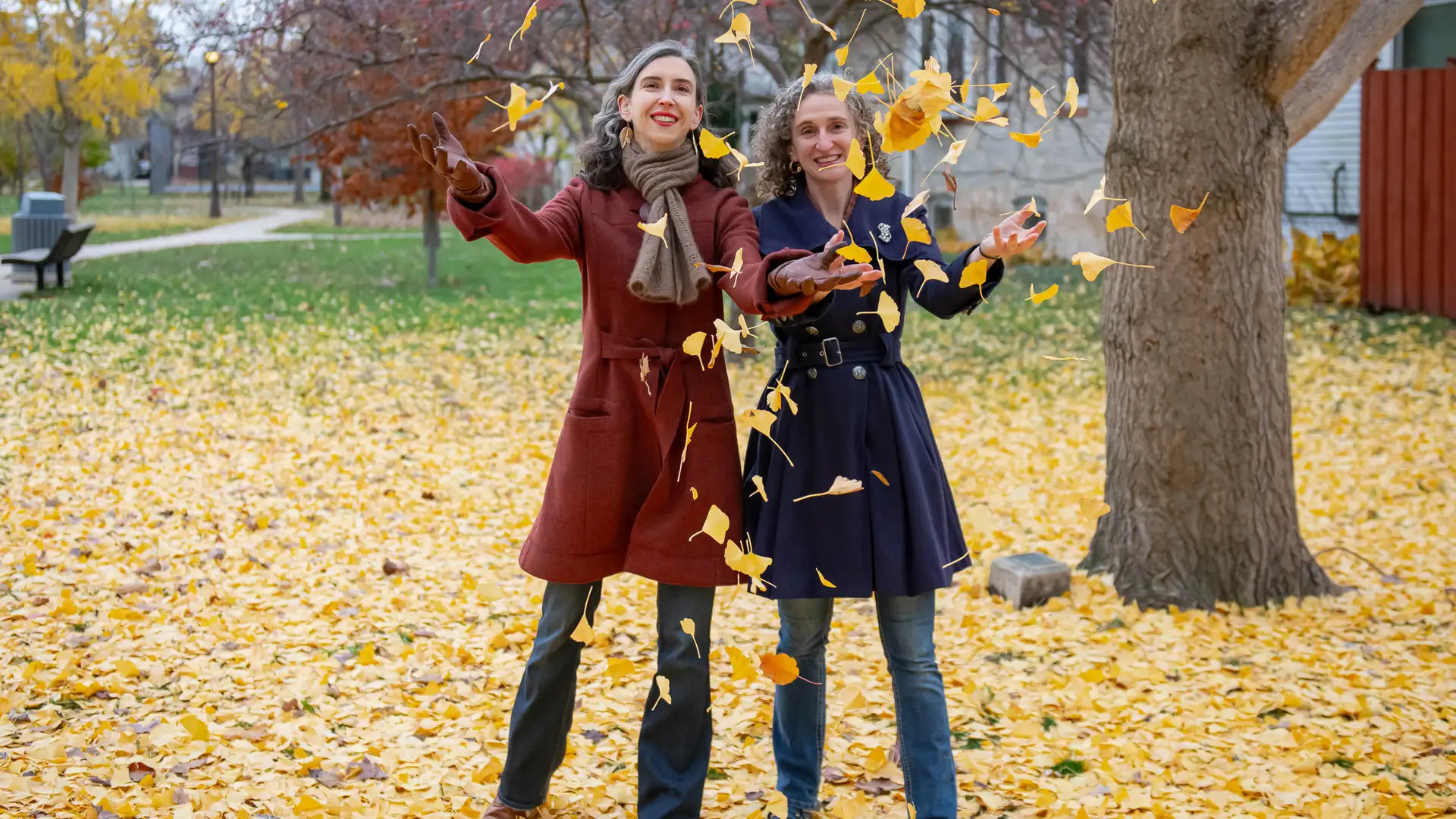 A Town Made Of Leaves Brought Beauty and Hope