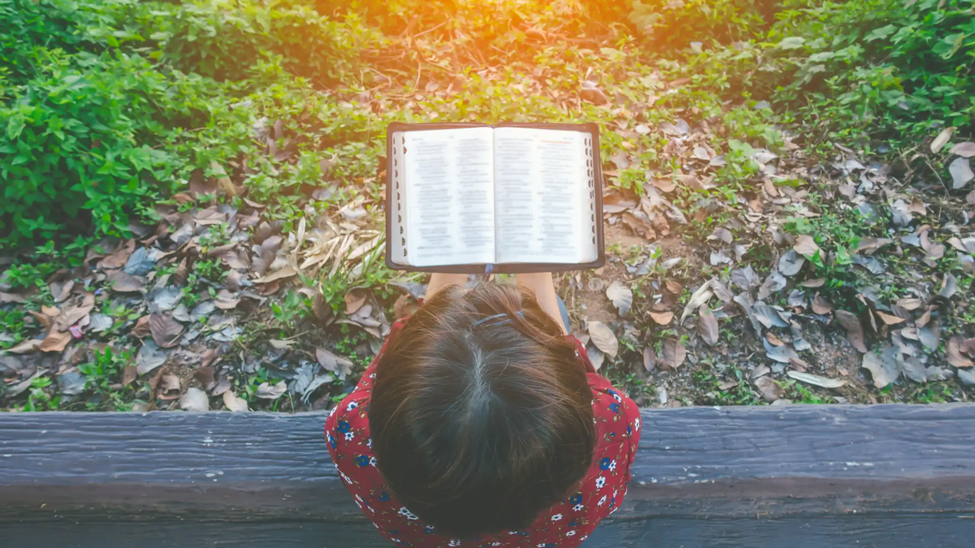 Actively Seeking Revelation