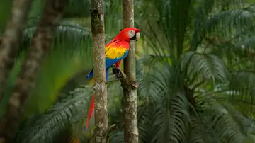 Exotic Animal Sanctuary