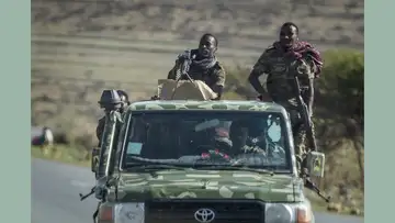 African Democracies