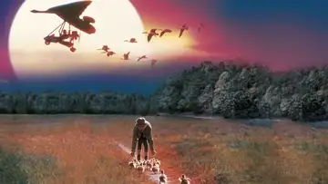 Fly Away Home