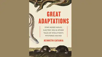 Strange and Unique Animal Adaptations