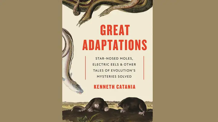 Strange and Unique Animal Adaptations