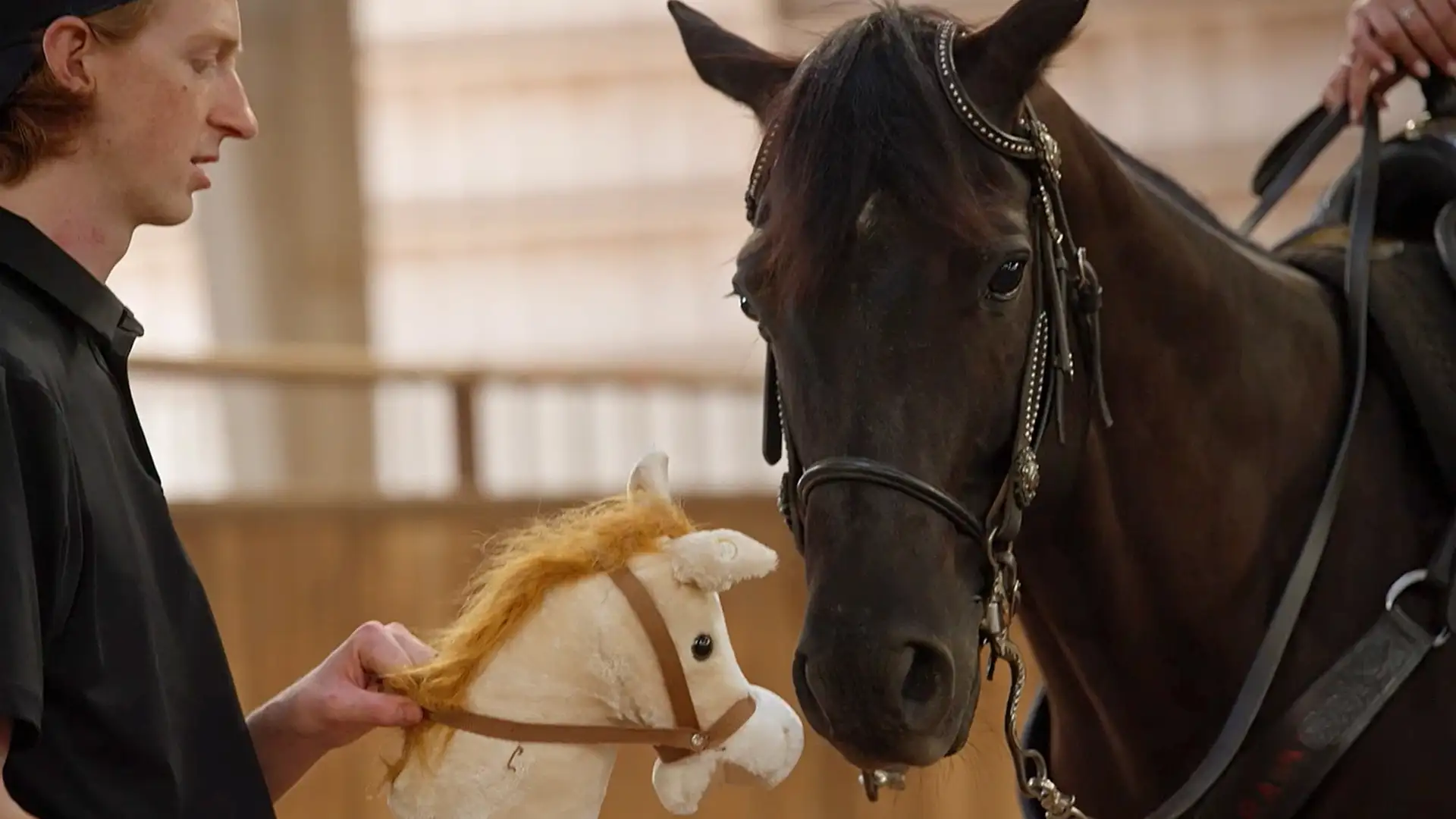 What Even Is An Equestrian