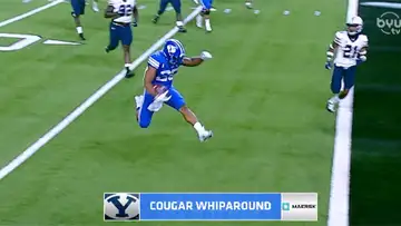 Cougar Whiparound