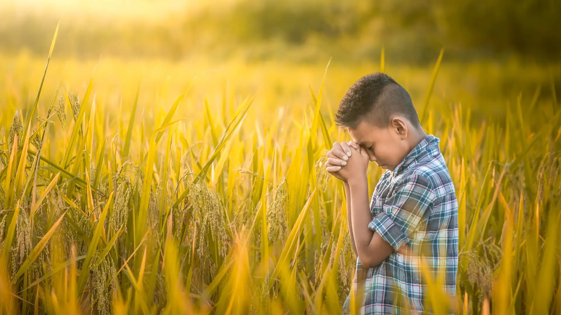 Being Joyful in Christ