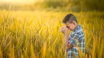 Being Joyful in Christ