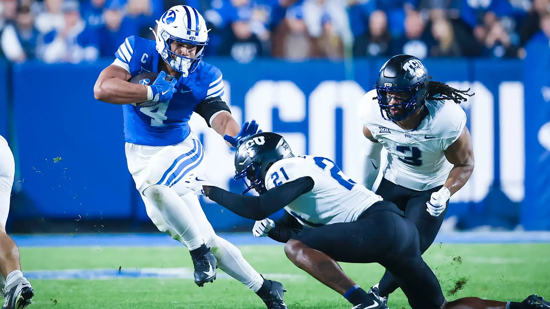 Cougars in the headlines