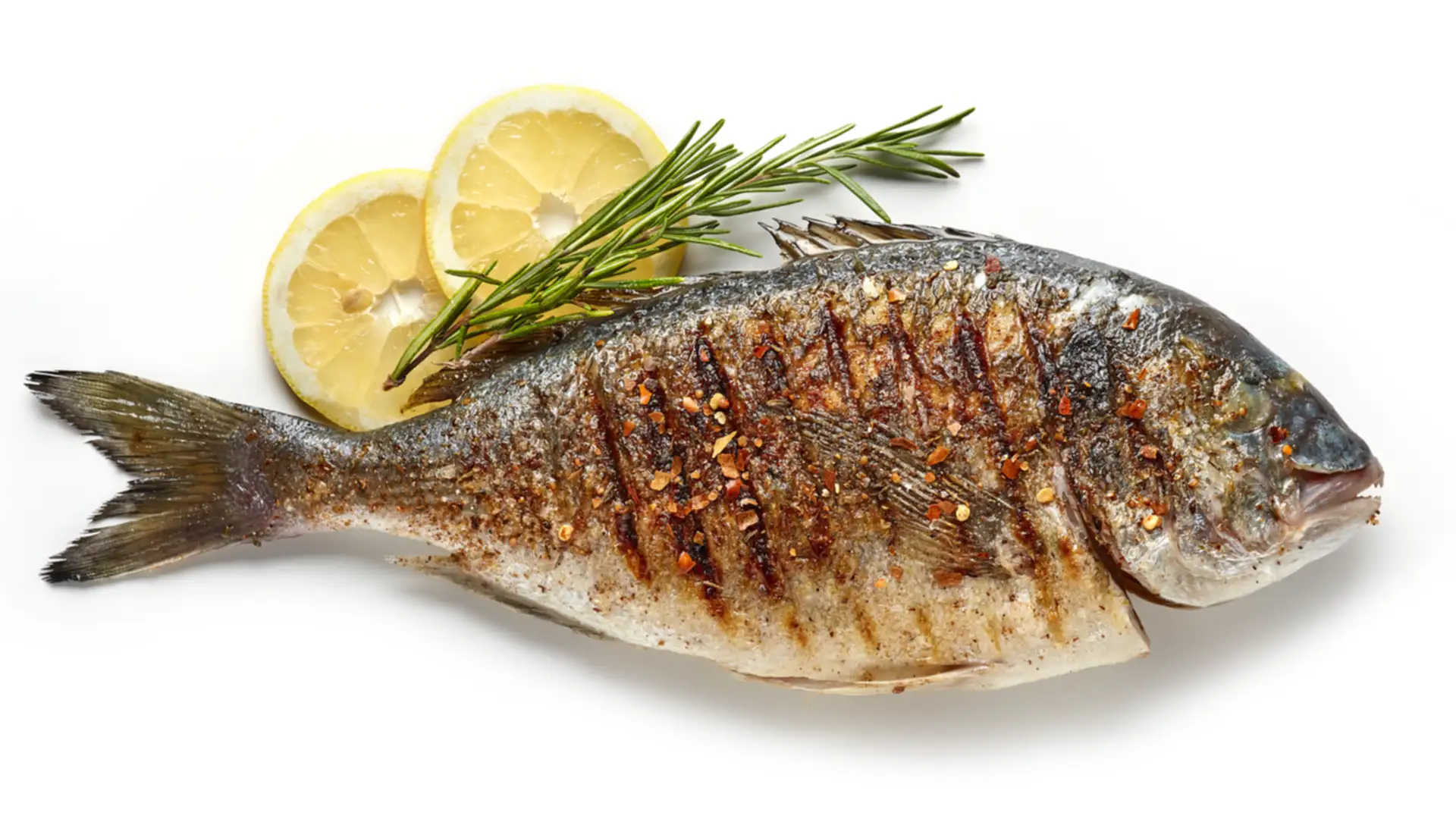 Ike Jime: The Delicious Way to Kill Fish