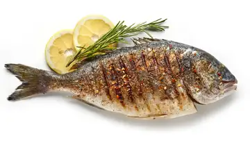 Ike Jime: The Delicious Way to Kill Fish