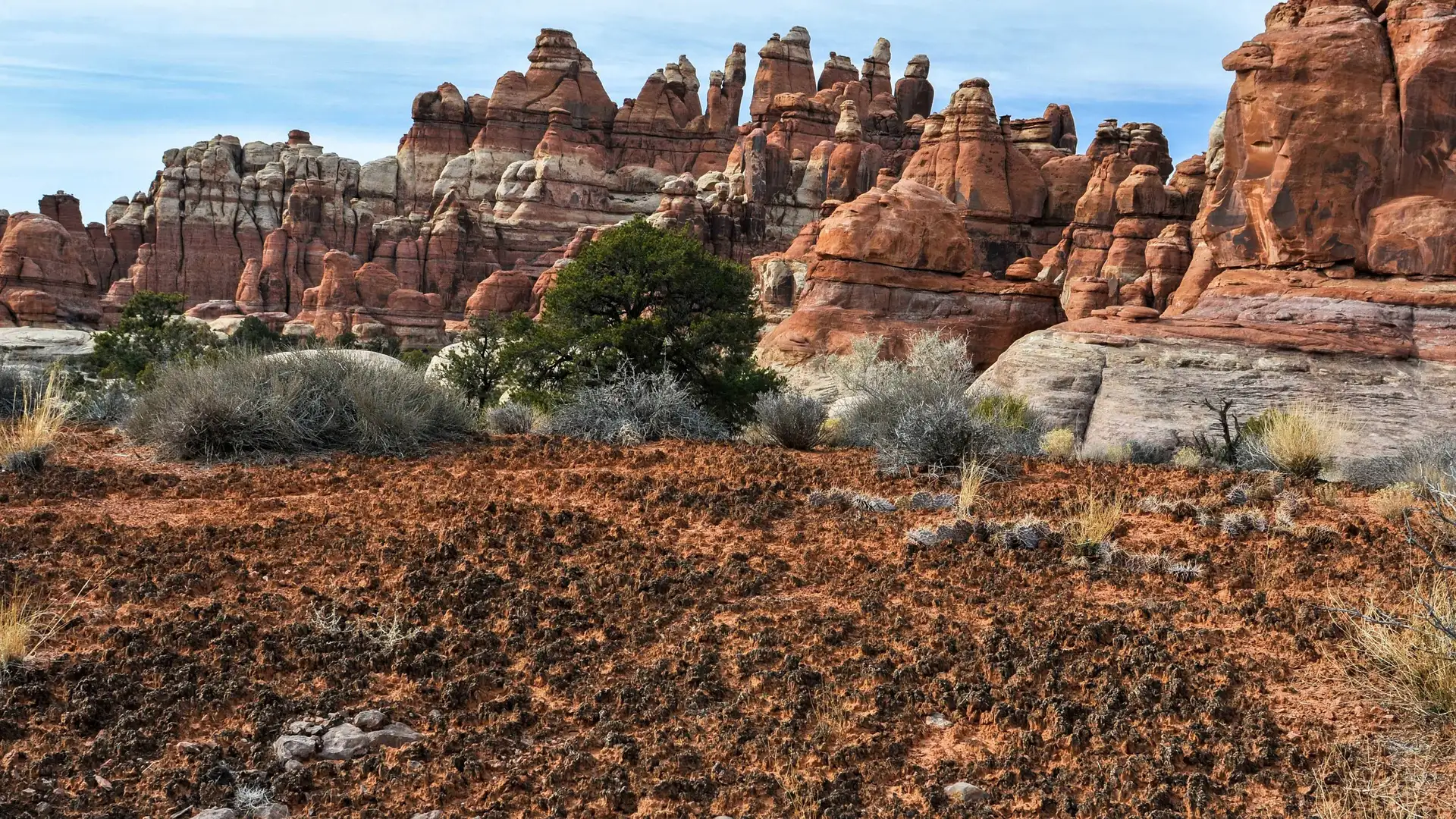 S3 E12: The Funky, Fragile World Beneath Your Feet