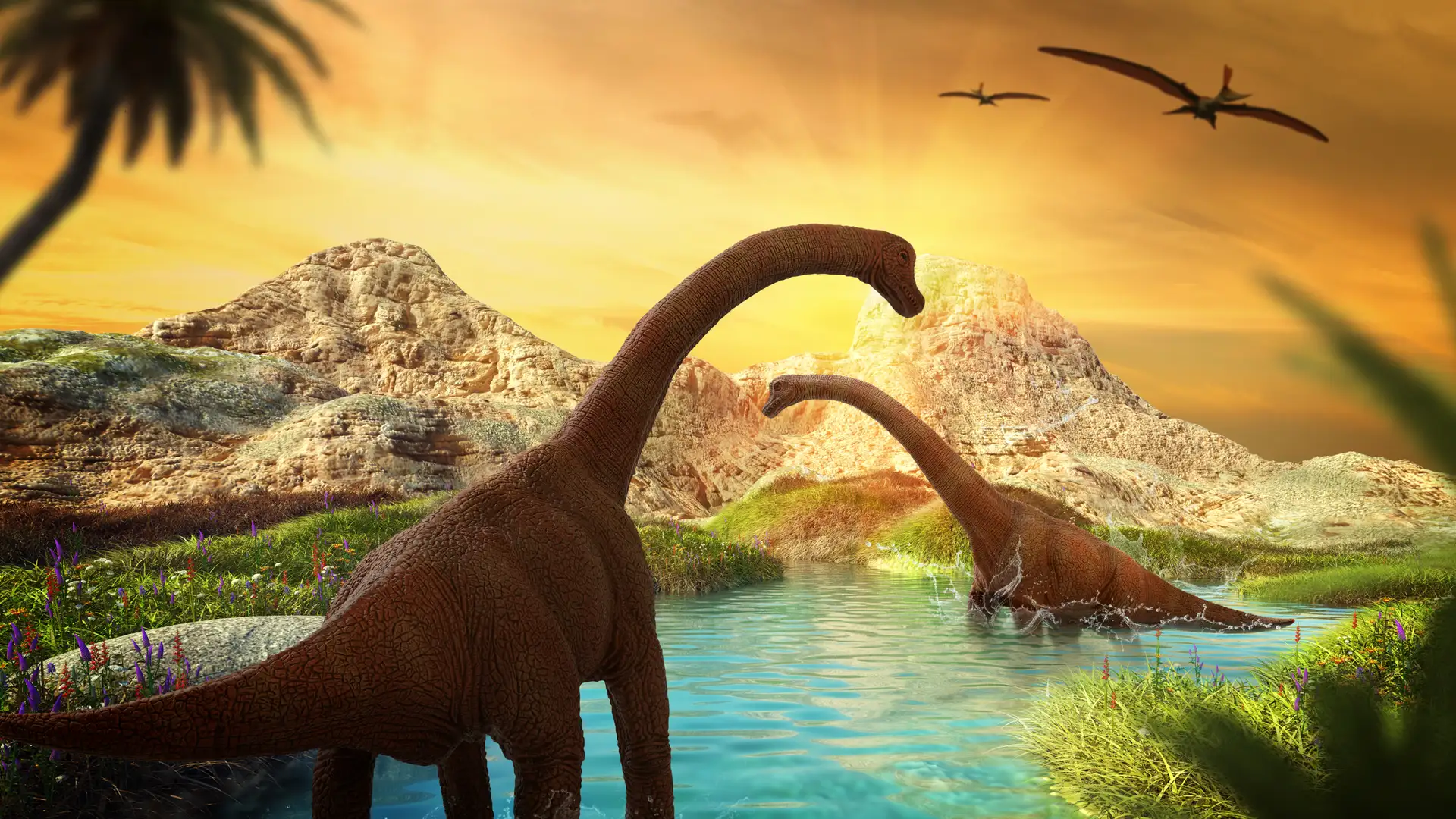 Prehistoric Spectacles