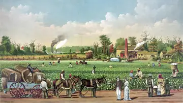 An Independent Woman in the Age of Revolution 