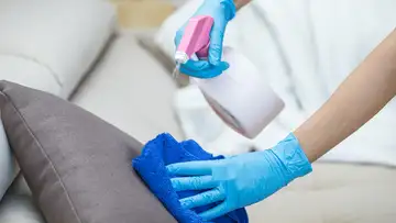 Cleaning Household Fabrics