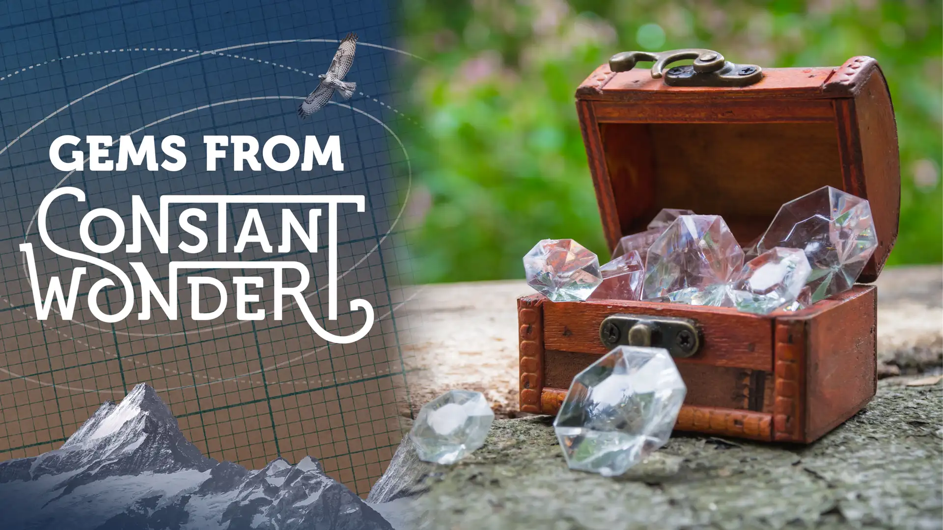 Gems from Constant Wonder: Adventures in Nature