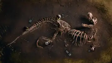 Dinosaur Mummy