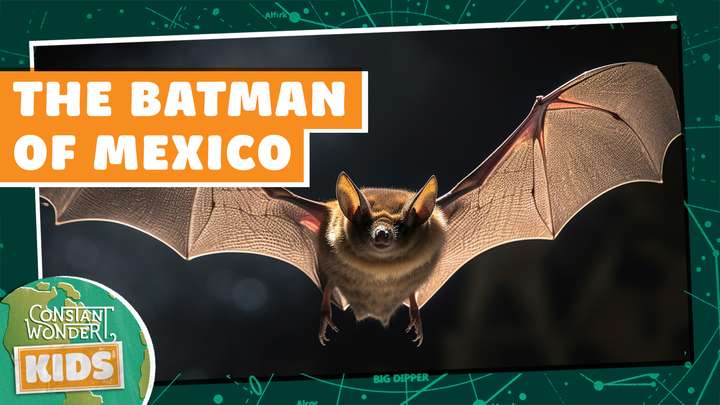 The Batman of Mexico