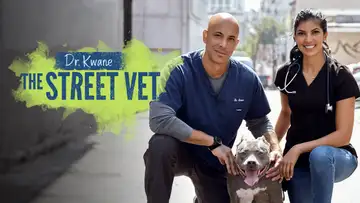 The Street Vet