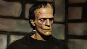 Excerpt I from Mary Shelley's "Frankenstein"