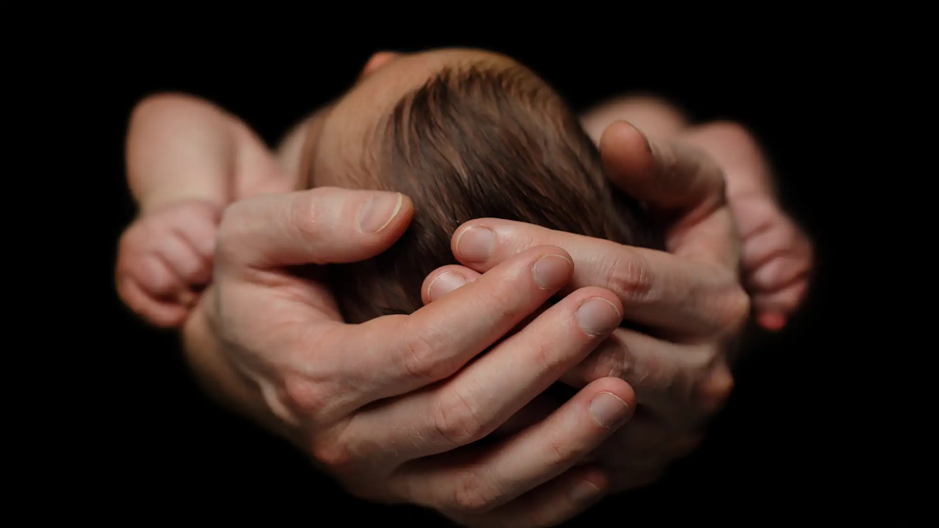 The Wonder of Birth - December 6