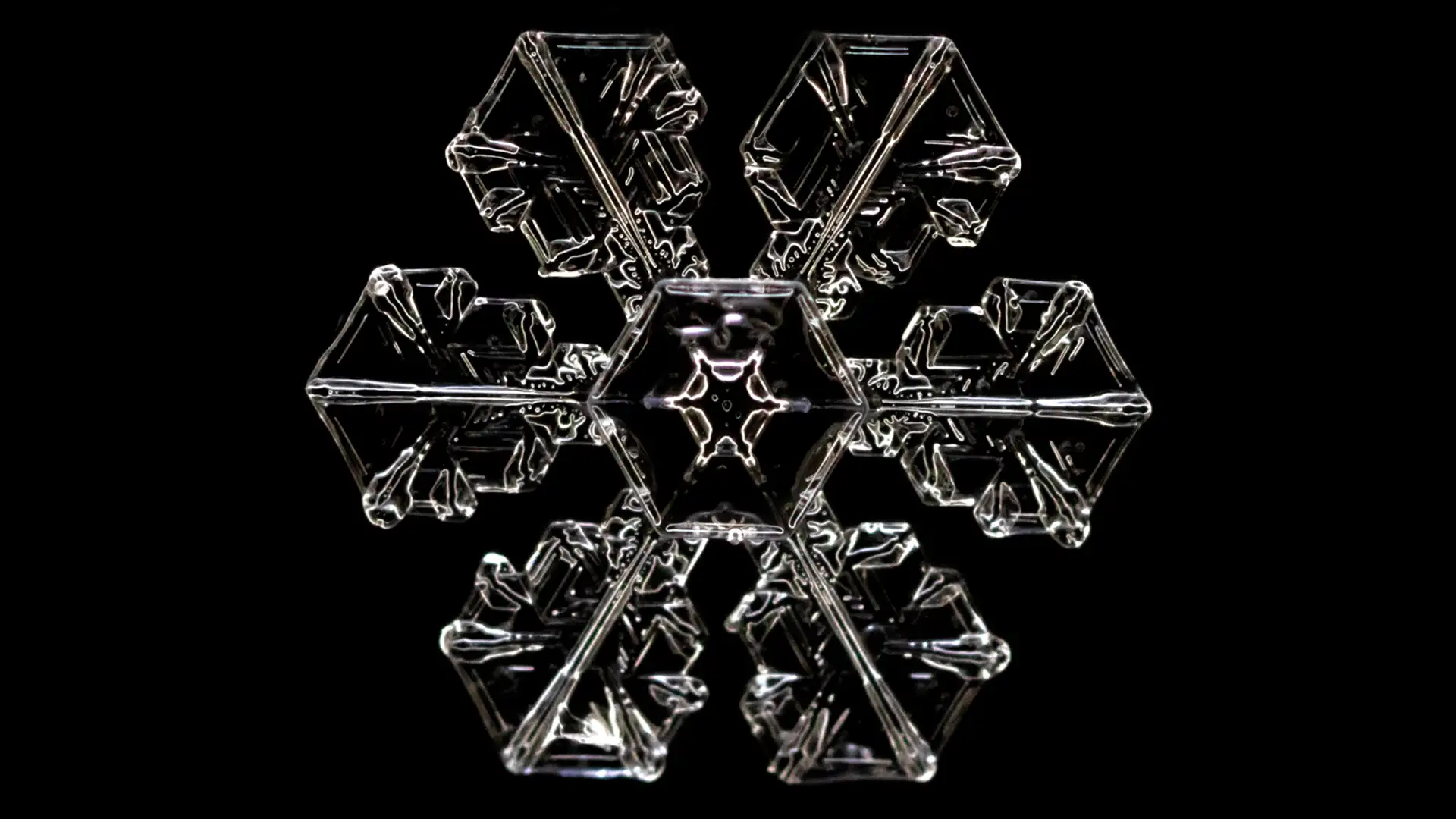 Snowflake Science