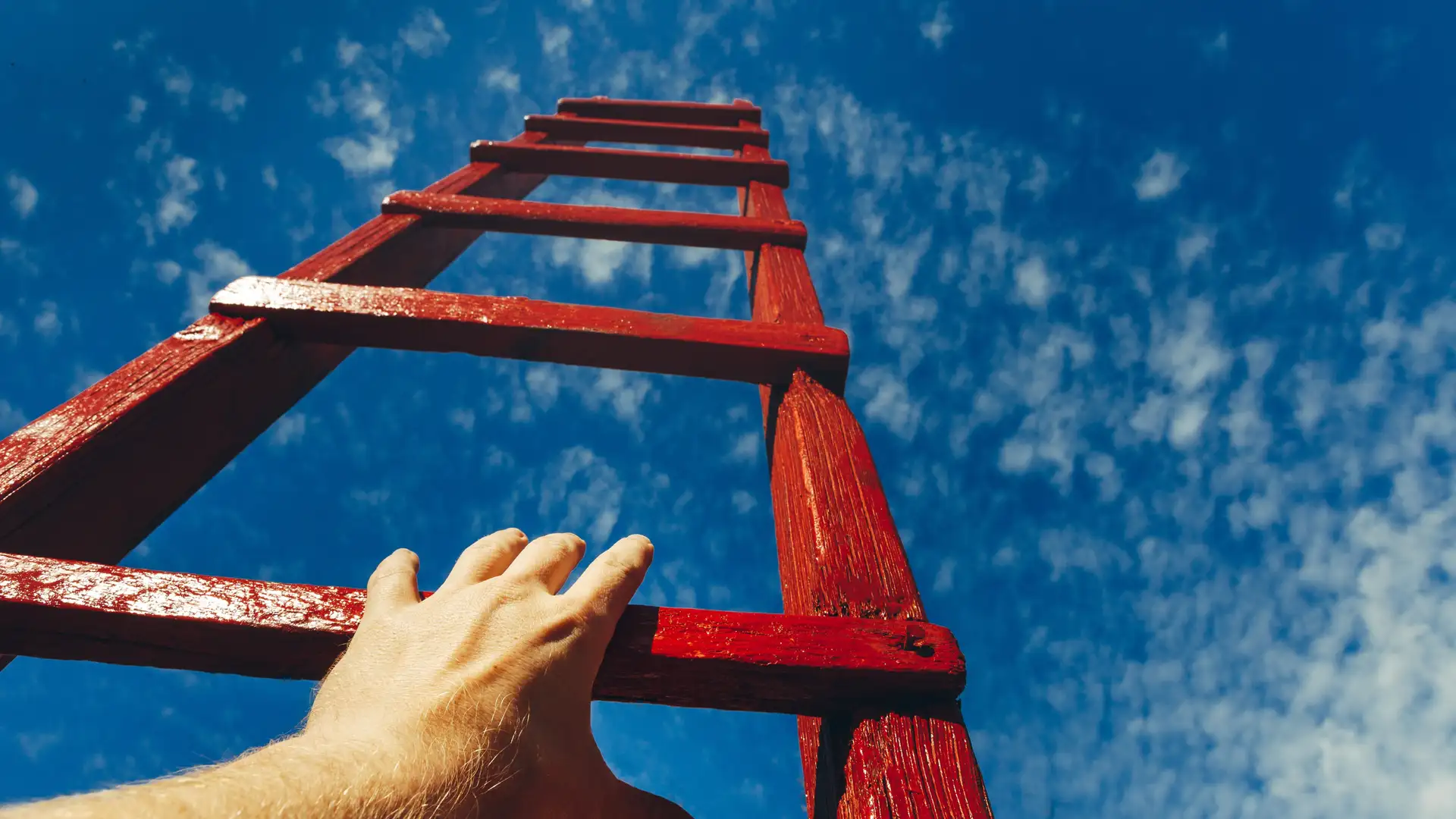 Living Up to Our Potential