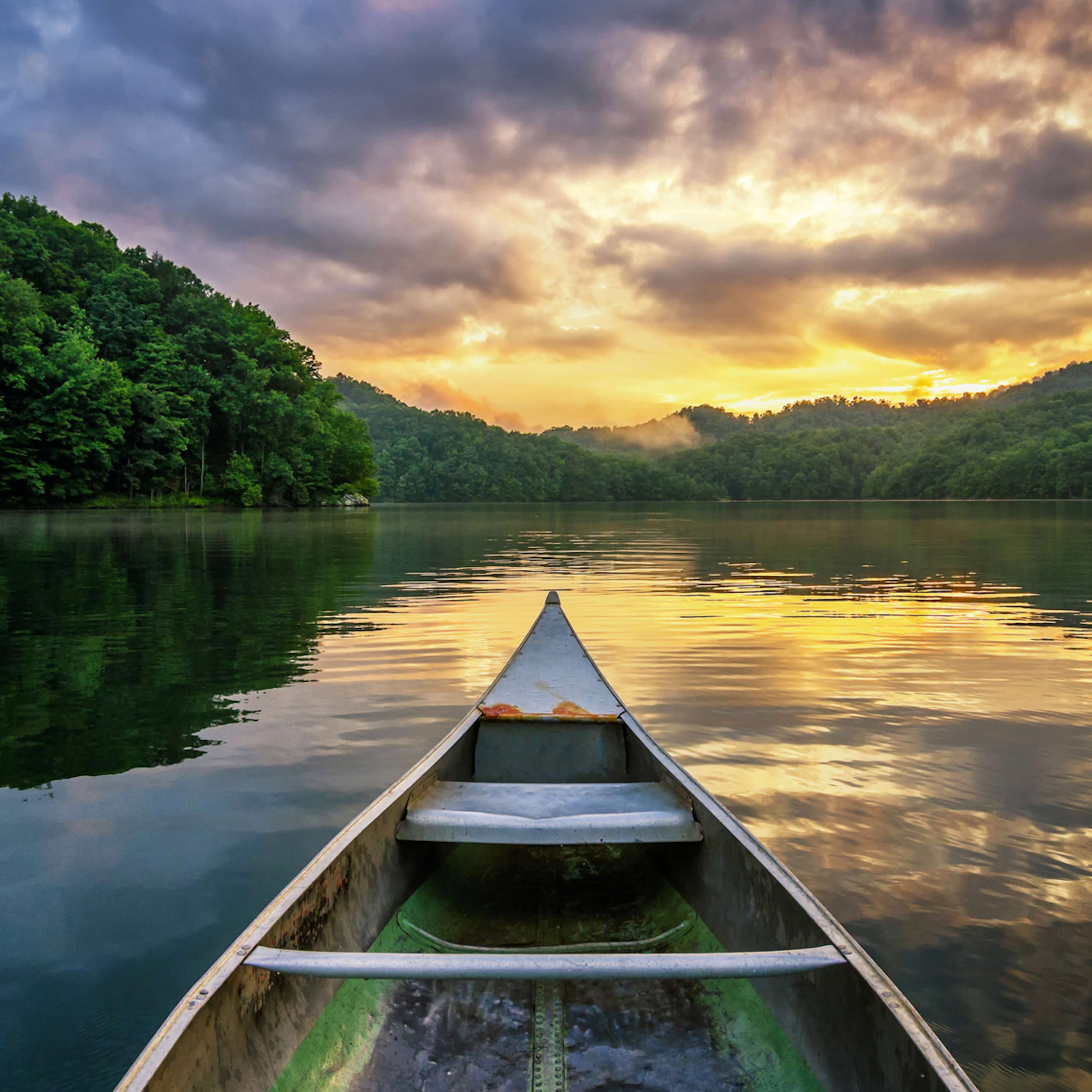 Shared Solitude: The Eye-Opening Epiphanies Of A Children's Writer