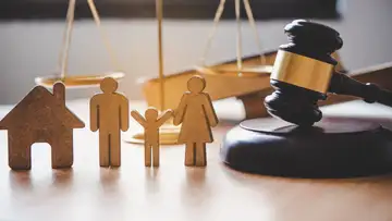 Adoption in America