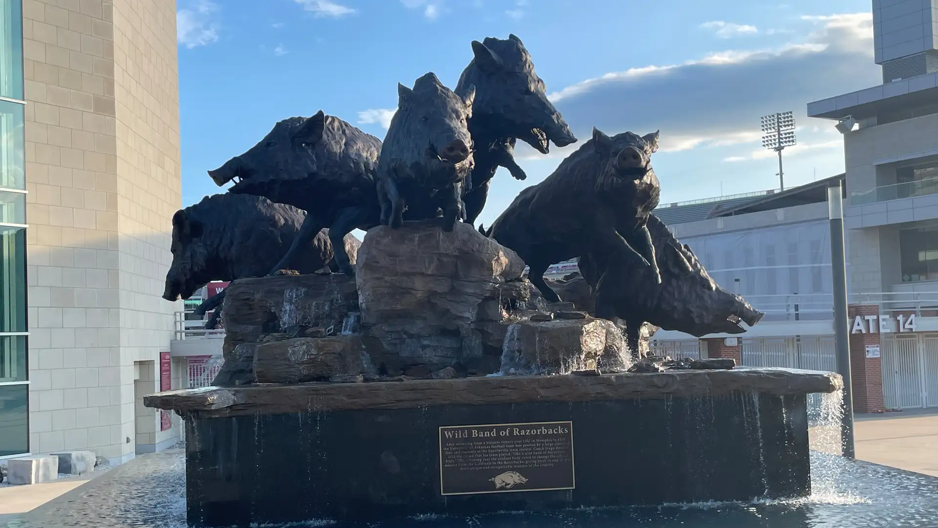 University of Arkansas: Resilient Razorbacks