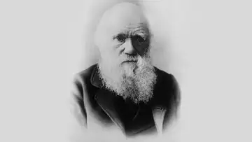 The Hairy Details of Beard History