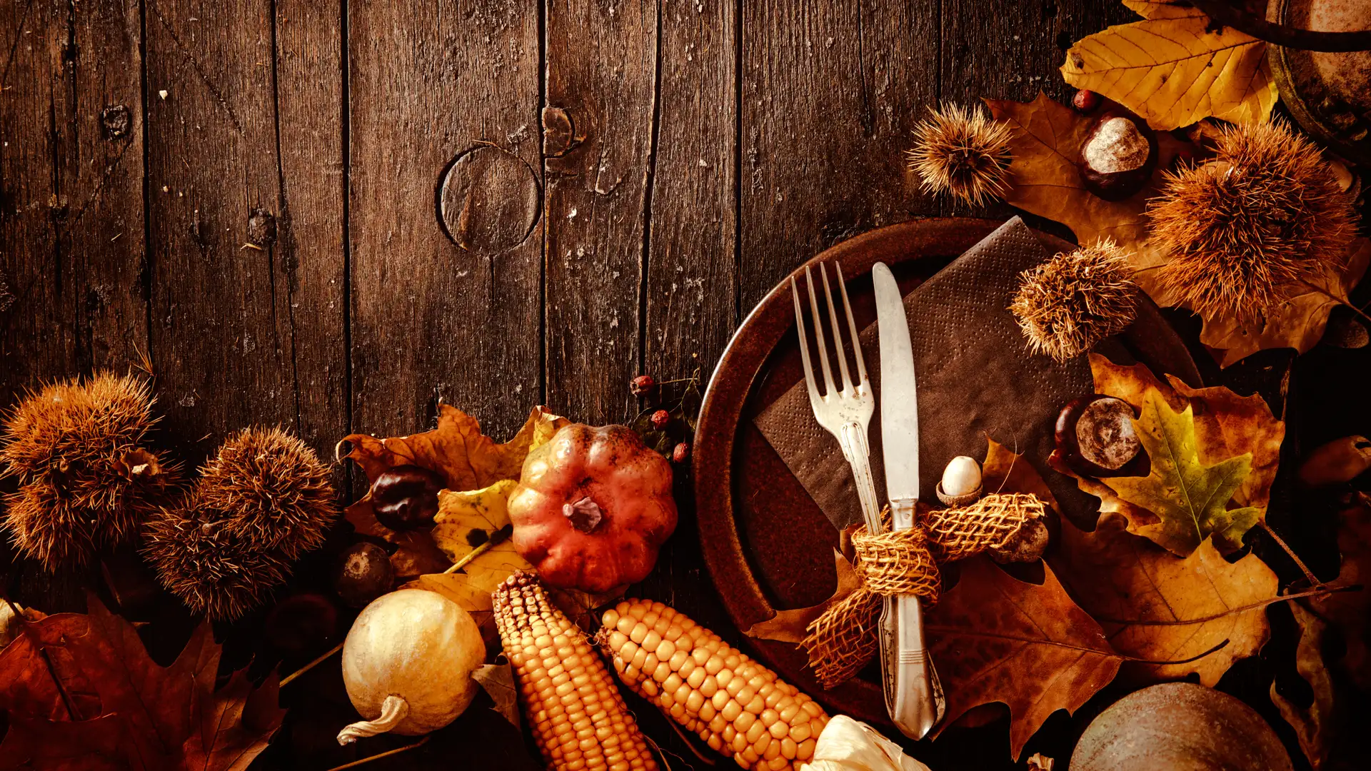 Thanksgiving: America's National Cheat Day