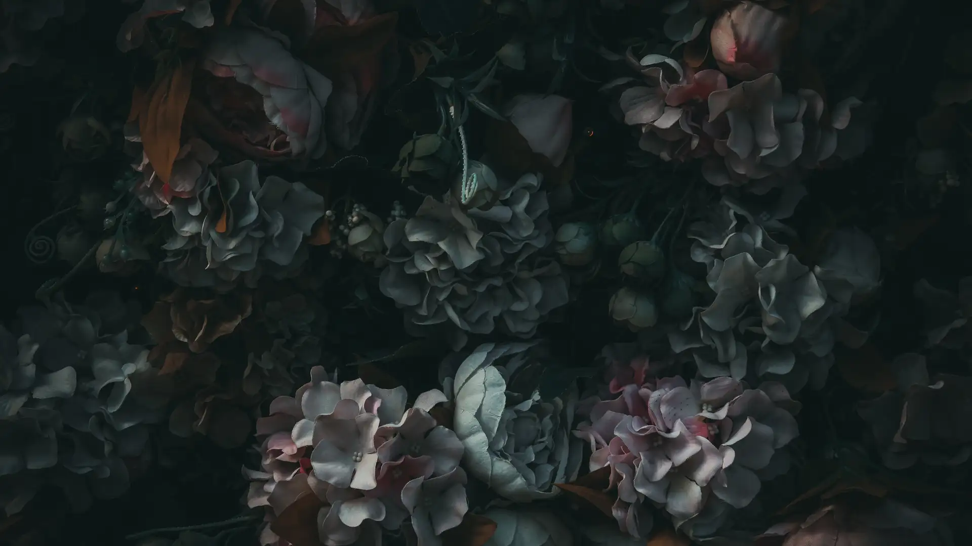 EXTRA **** "Sir Bertrand" by The Acting Company