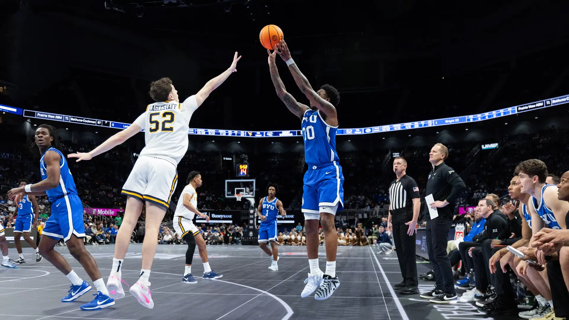 Cougars in the headlines