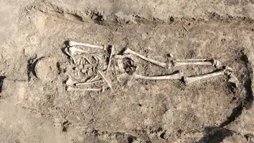 The Hidden Stories in Our Bones