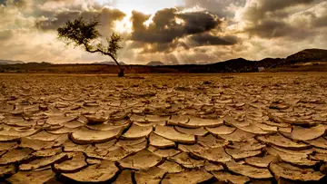 Famine of Faith