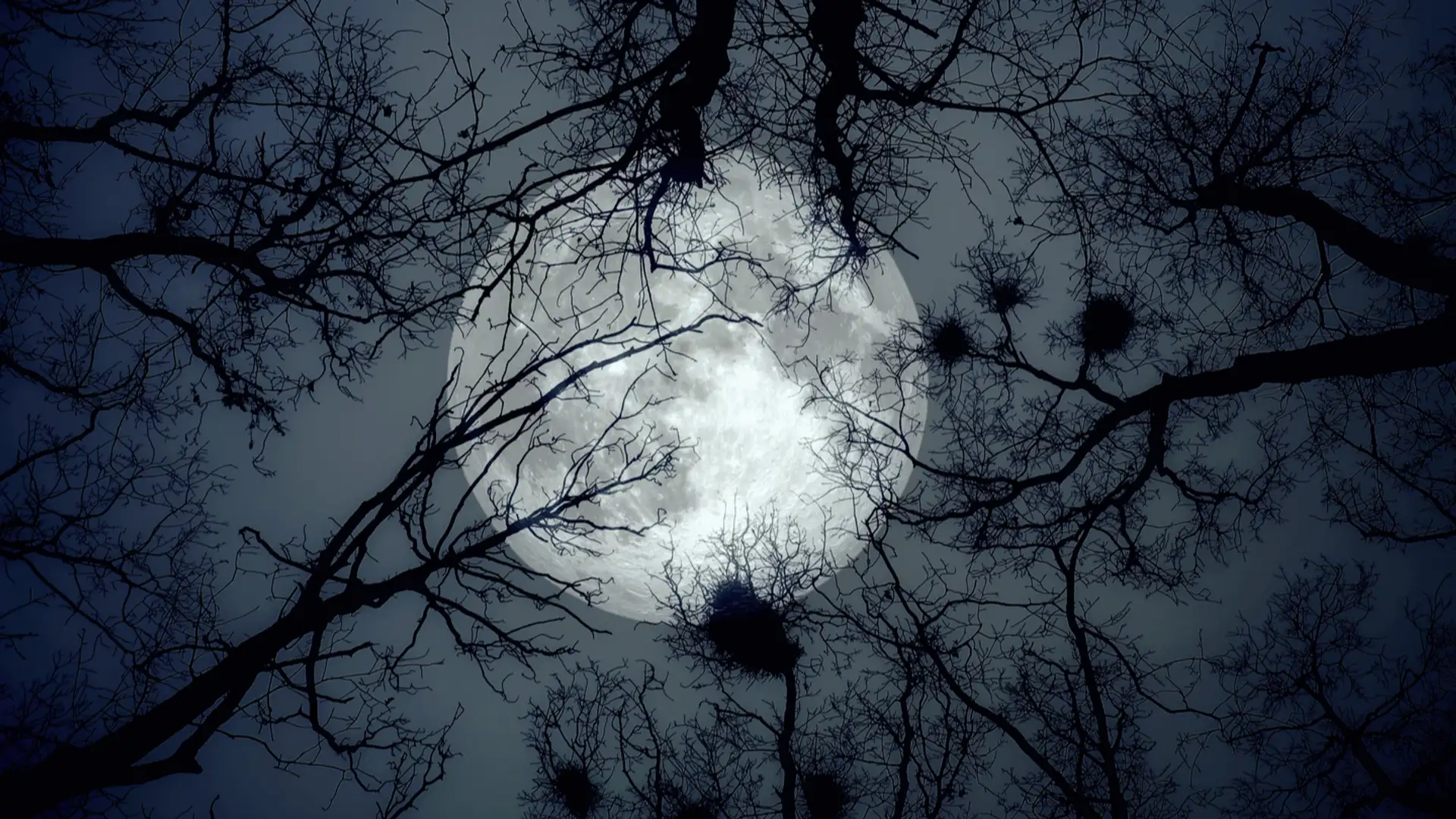 EXTRA: "Eating the Sky" by the Storycrafters