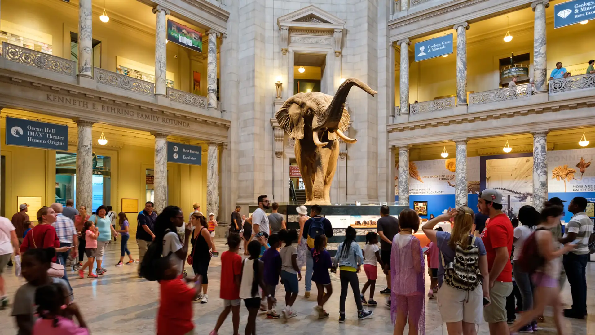 Human Bones in Museums