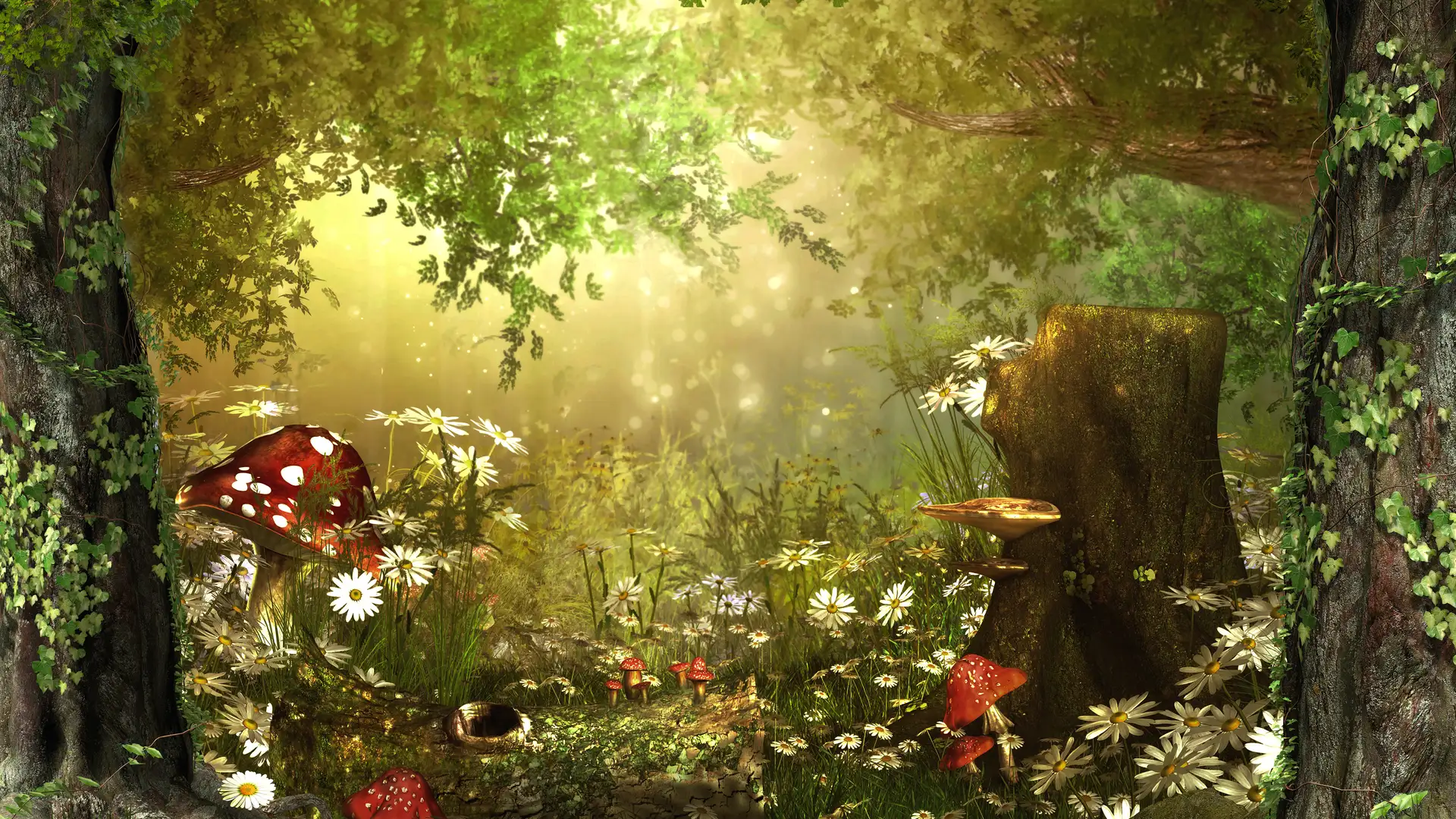 The Magic Garden of the Poor