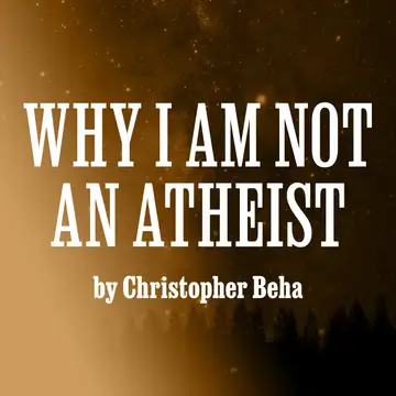 "Why I Am Not An Atheist" by Christopher Beha